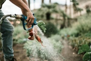 person washing vegetables